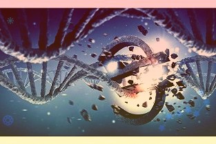 白洋淀新发现2种野生鱼类野生鱼类增至48种